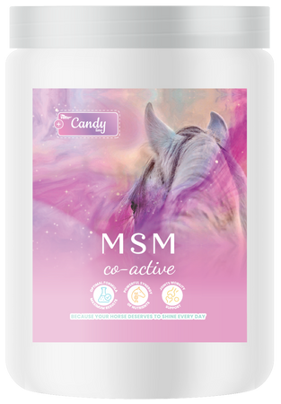 BIOFEED Horse & Pony MSM Co-Active 750 g