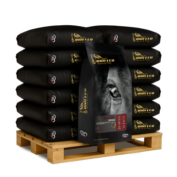 Paleta BIOFEED Horse & Pony Muscles Musli 50x 20 kg