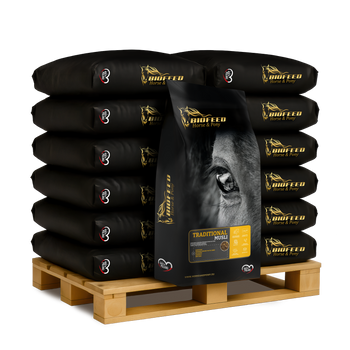 Paleta BIOFEED Horse & Pony Traditional Musli 50x 20 kg