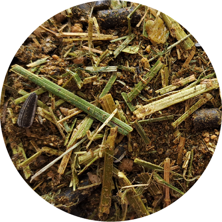 Paleta BIOFEED Horse & Pony Active Grain Free Musli 50x 20 kg