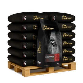 Paleta BIOFEED Horse & Pony Active Grain Free Musli 50x 20 kg