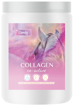 BIOFEED Horse & Pony Collagen Co-Active 900 g