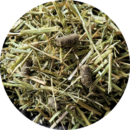 ZESTAW: Sieczka z lucerny BIOFEED Horse & Pony Alfalfa Original 20 kg + Candy Vitamins & Minerals 1,8 kg