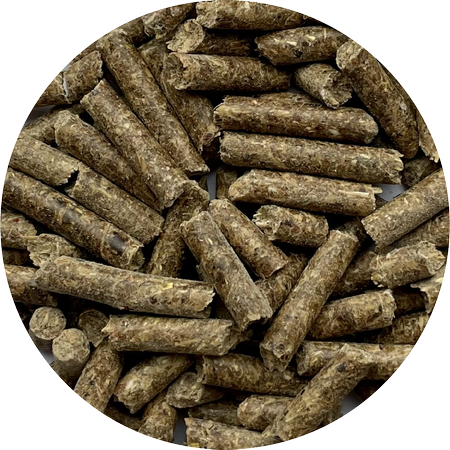 Próbka BIOFEED Horse & Pony Traditional Pellets 1 kg (stabilopack)