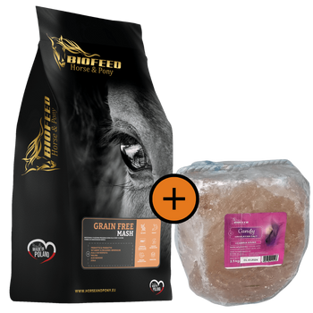 ZESTAW: Mesz dla koni bezzbożowy BIOFEED Horse & Pony Grain Free Mash 20 kg + lizawka Himalayan Salt 3,5 kg