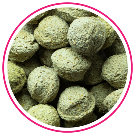 BIOFEED Horse & Pony Candy Cookies Apples with spirulina 300 g