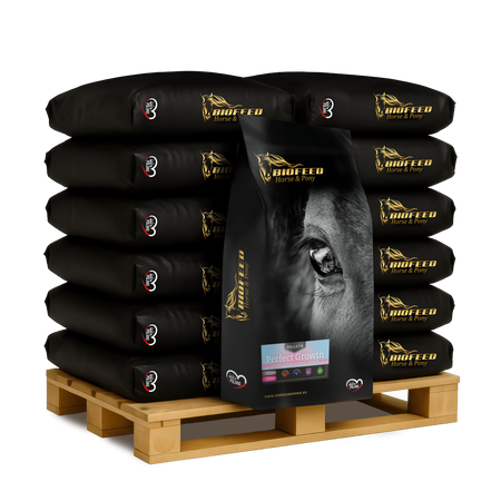 Paleta BIOFEED Horse & Pony Perfect Growth Pellets 40x 25 kg
