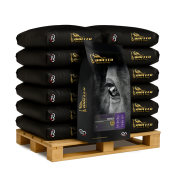 Paleta BIOFEED Horse & Pony Veterans Musli 50x 20 kg