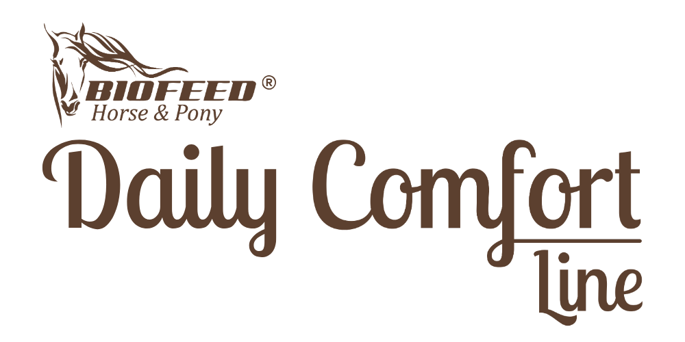 DAILY COMFORT