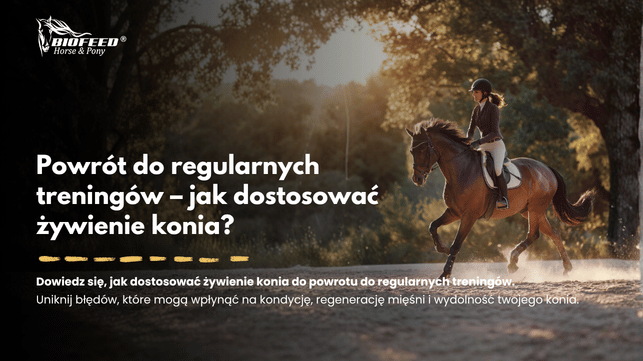 Powrót do regularnych treningów – jak dostosować żywienie konia?