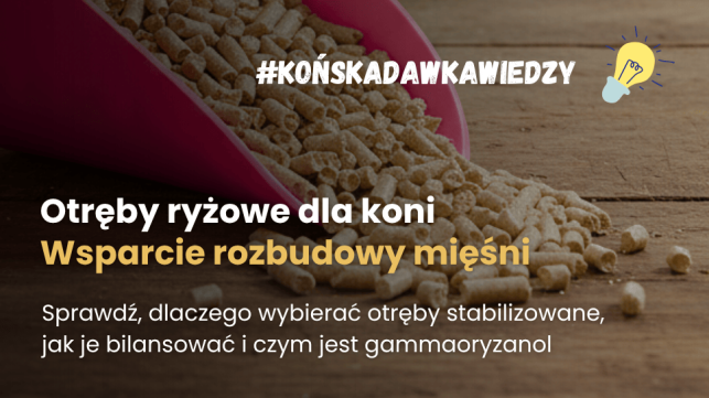 Zastosowanie otrąb ryżowych dla koni w żywieniu