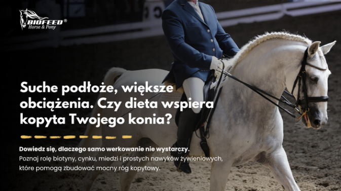 Suche podłoże, większe obciążenia. Czy dieta wspiera kopyta Twojego konia?