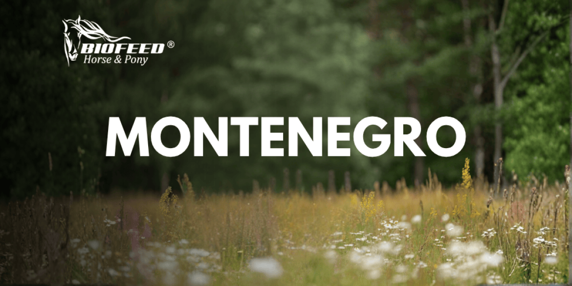 Montenegro
