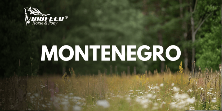 Montenegro