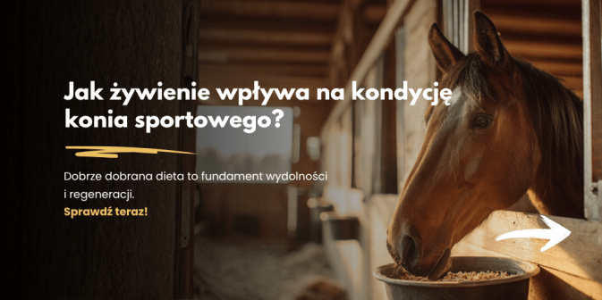 Jak żywienie wpływa na kondycję konia sportowego?