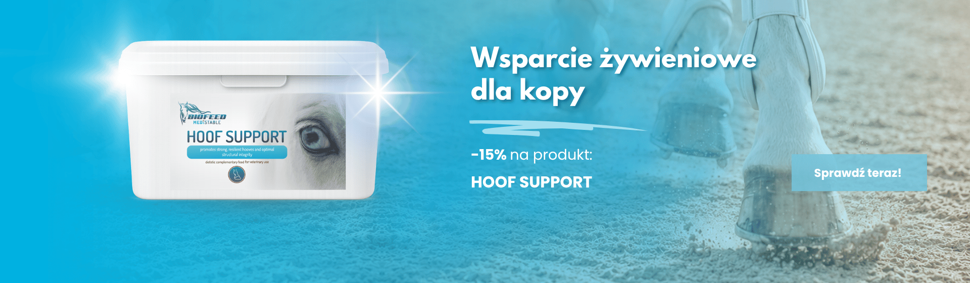 Główny slider
