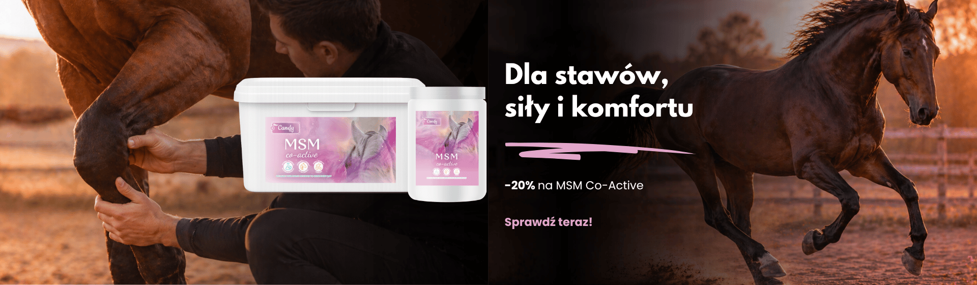 Główny slider