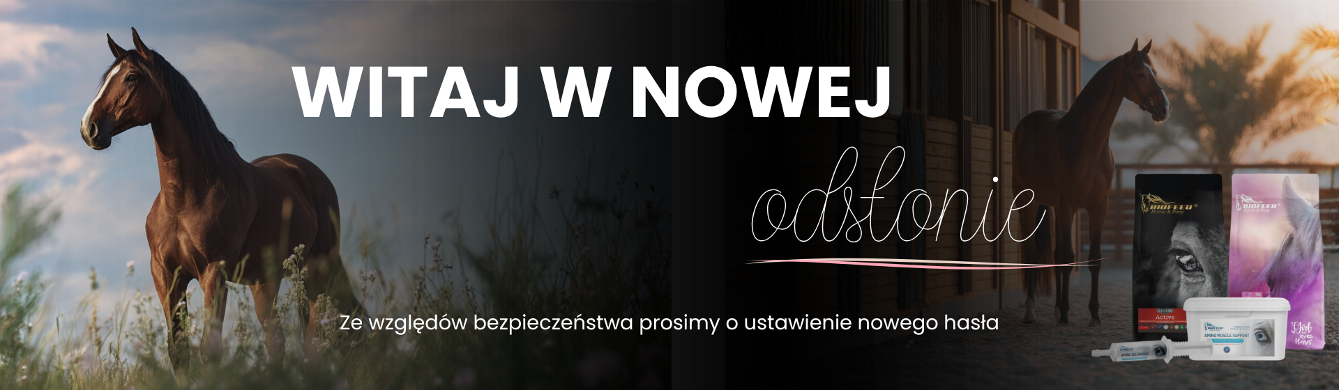 Główny slider