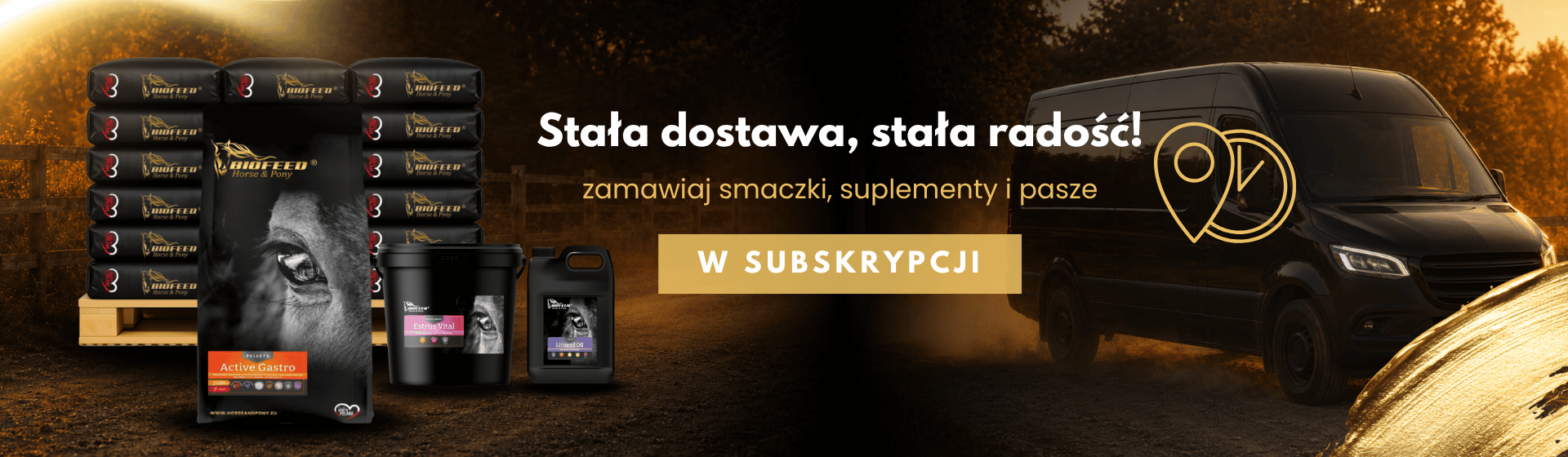Główny slider