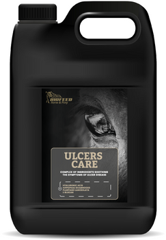 Suplement dla koni wrzodowych BIOFEED Horse & Pony Ulcers Care 4,5 l