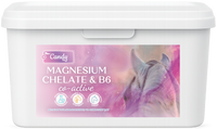BIOFEED Horse & Pony Candy Magnesium Chelate & B6 Co-Active 1,5 kg