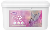 BIOFEED Horse & Pony Candy Yeast Co-Active 3,8 kg