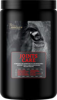 Suplement na stawy dla koni BIOFEED Horse & Pony Joints Care 900 g (słoik PET)