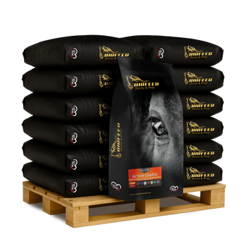Paleta BIOFEED Horse & Pony Active Gastro Pellets 40x 25 kg