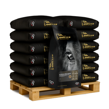 Paleta BIOFEED Horse & Pony Sensitive Alfalfa Free Musli 50x 20 kg