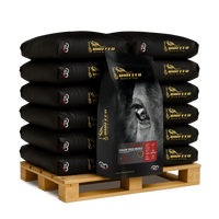 Paleta BIOFEED Horse & Pony Active Grain Free Musli 50x 20 kg