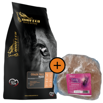 ZESTAW: Mesz dla koni bezzbożowy Grain Free Mash 20 kg + lizawka Himalayan Salt 1,5 kg