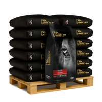 Paleta BIOFEED Horse & Pony Active Pellets 40x 25 kg