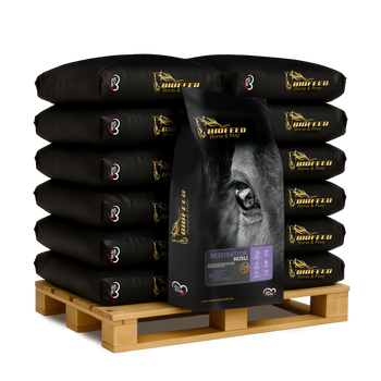 Paleta BIOFEED Horse & Pony Respiration Musli 50x 20 kg