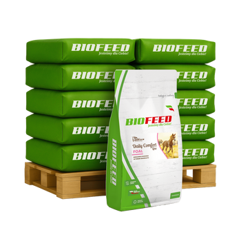 Paleta BIOFEED Horse & Pony Daily Comfort Foal 40x 25 kg