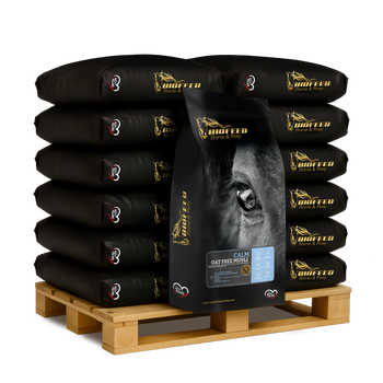 Paleta BIOFEED Horse & Pony Calm Oat Free Musli 50x 20 kg
